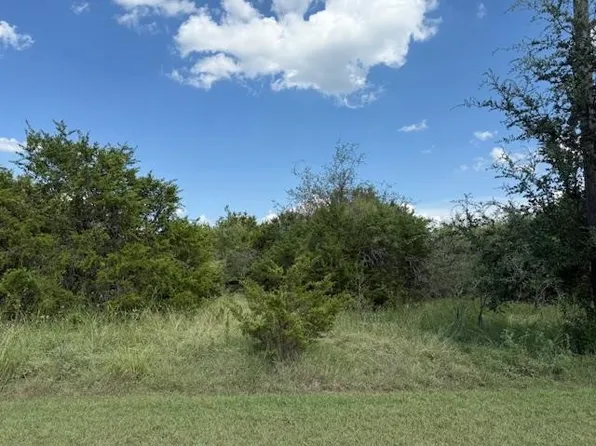 39231 Cedar Park Dr, Whitney, TX 76692