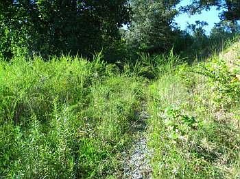 4th image of 1465 Asheville Hwy