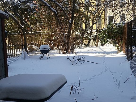 4th image of 564 Halsey St #1