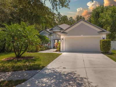 8282 Swann Hollow Dr, Tampa, FL, 33647