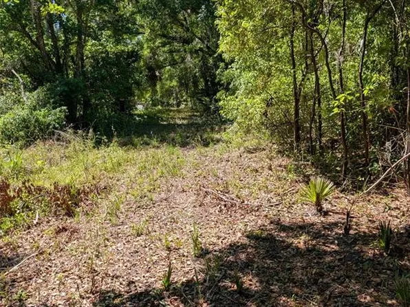 0 NW 202nd Pl #Mc, Micanopy, FL 32667