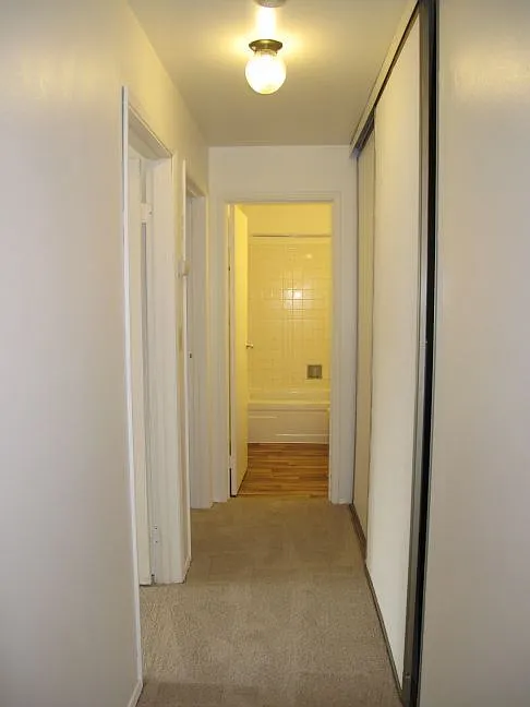 Birchwood Apartments — Photo 4