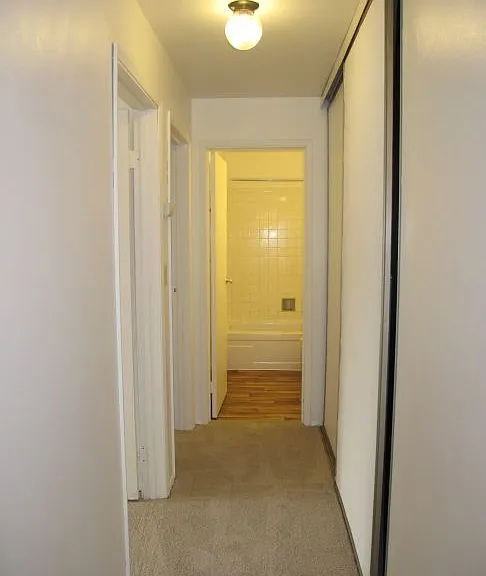 Birchwood Apartments — Photo 12