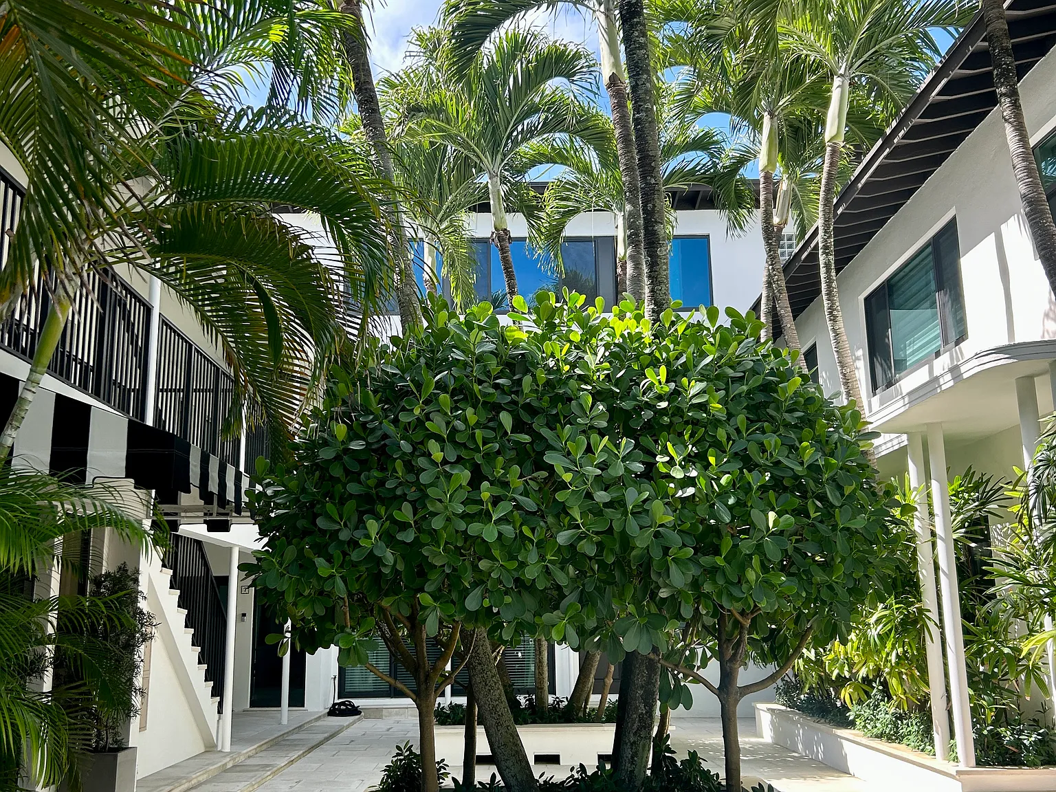 1 bed, 700 sqft, $7,000 — Photo 2
