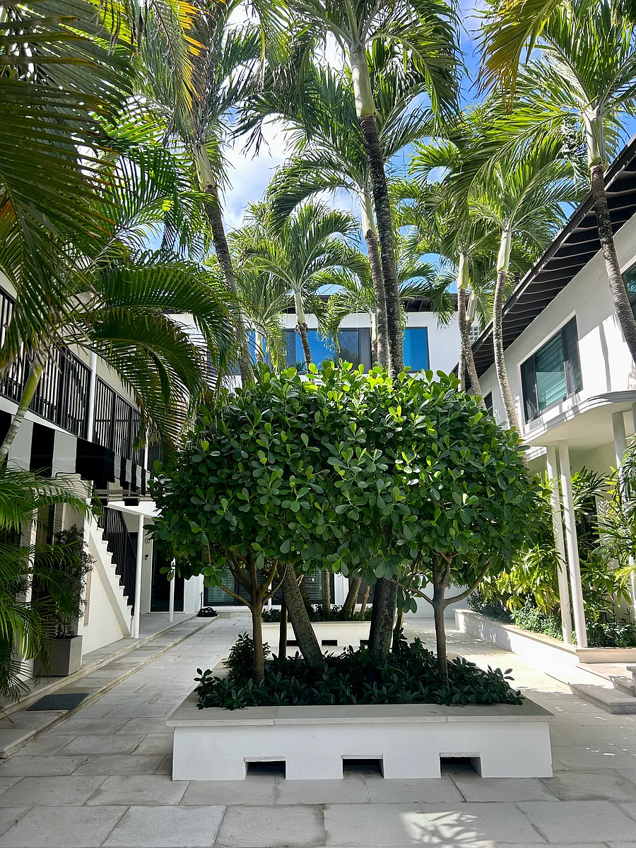 Building Photo - 122 Peruvian Ave
