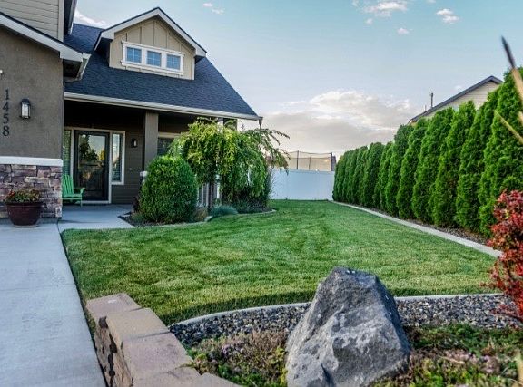 Front yard 