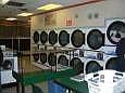 Wascomats  Dryers
