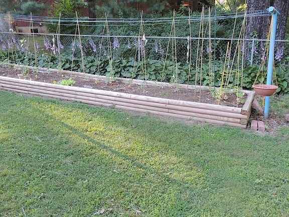 Vegetable Garden Raised Bed