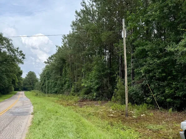 3334 County Road 8, Andalusia, AL 36421