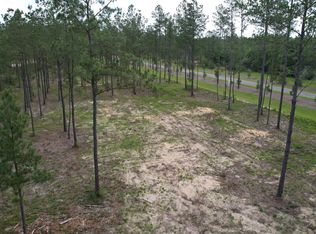 9118 Pine Preserve Ln LOT 21, Jay, FL 32565
