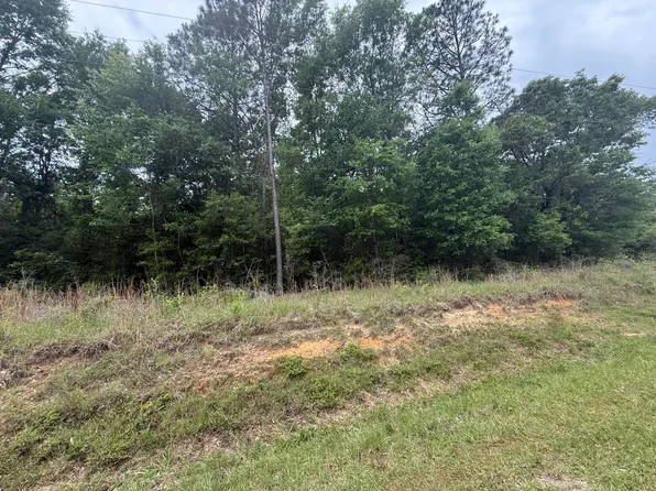 0 Otho Davis Rd, Lumberton, MS 39455