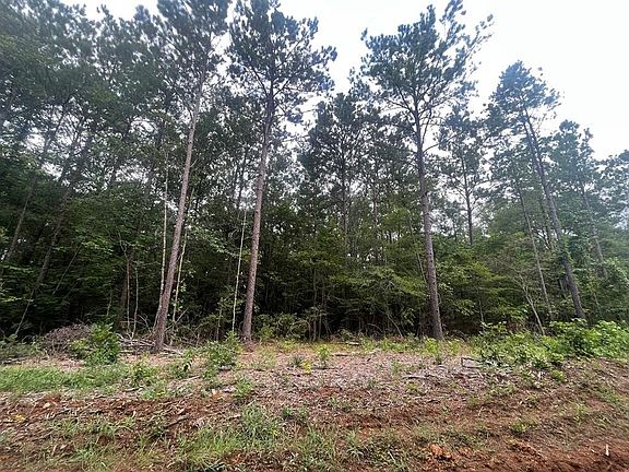 4th image of TRACT 57 Fm 1751