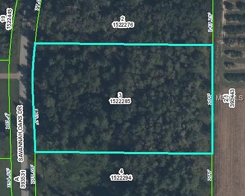 4th image of 1024 Savannah Oaks Dr