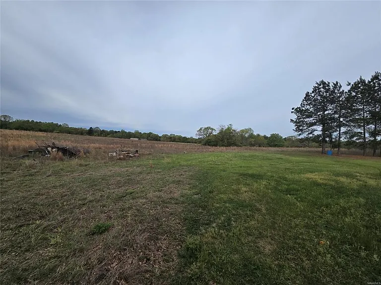 1413 County Road 43 — Photo 17