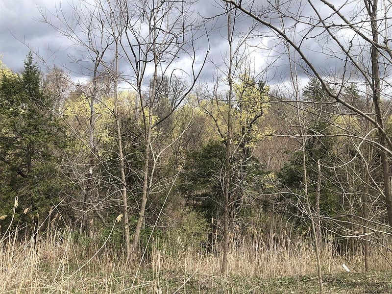 4th image of 0 COUNTY RT 46