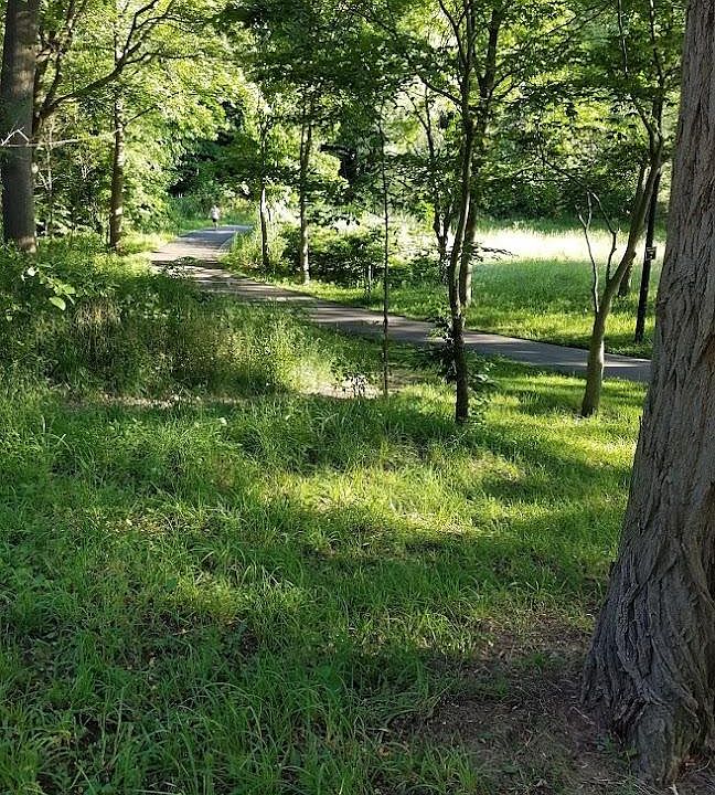 22137 Horace Harding Expressway Sr S Oakland Gardens NY Zillow