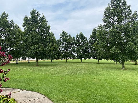 2nd image of 222 Spring Creek Rd