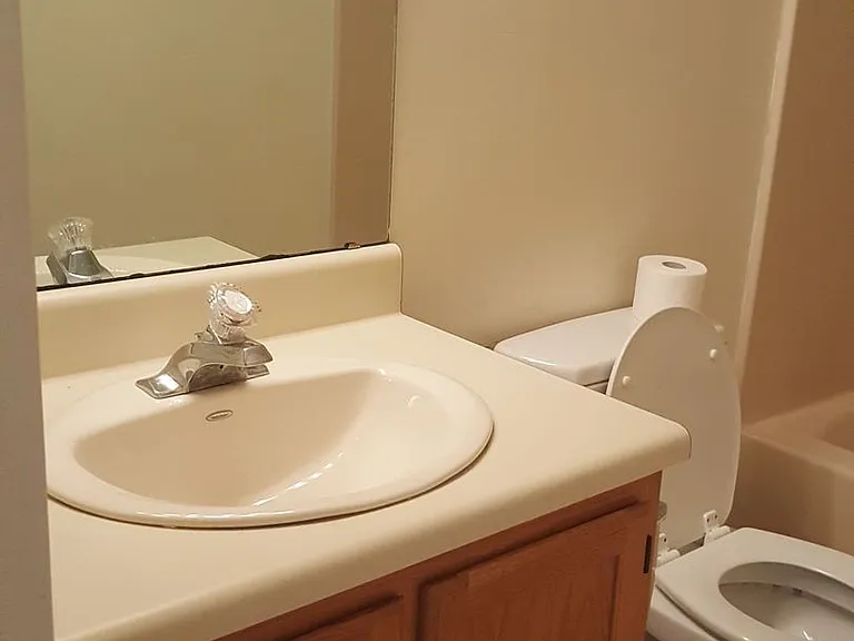 113 Silverleaf Ln — Photo 13