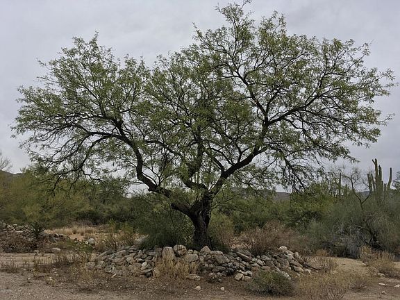 5th image of 11500 E Catalina Hy