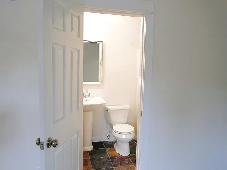 Trees Apartment Available Now — Photo 6