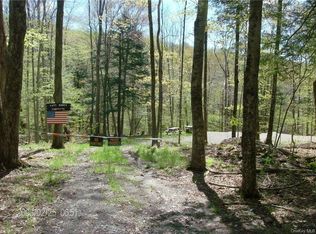 Acidalia Rd, Roscoe, NY 12776