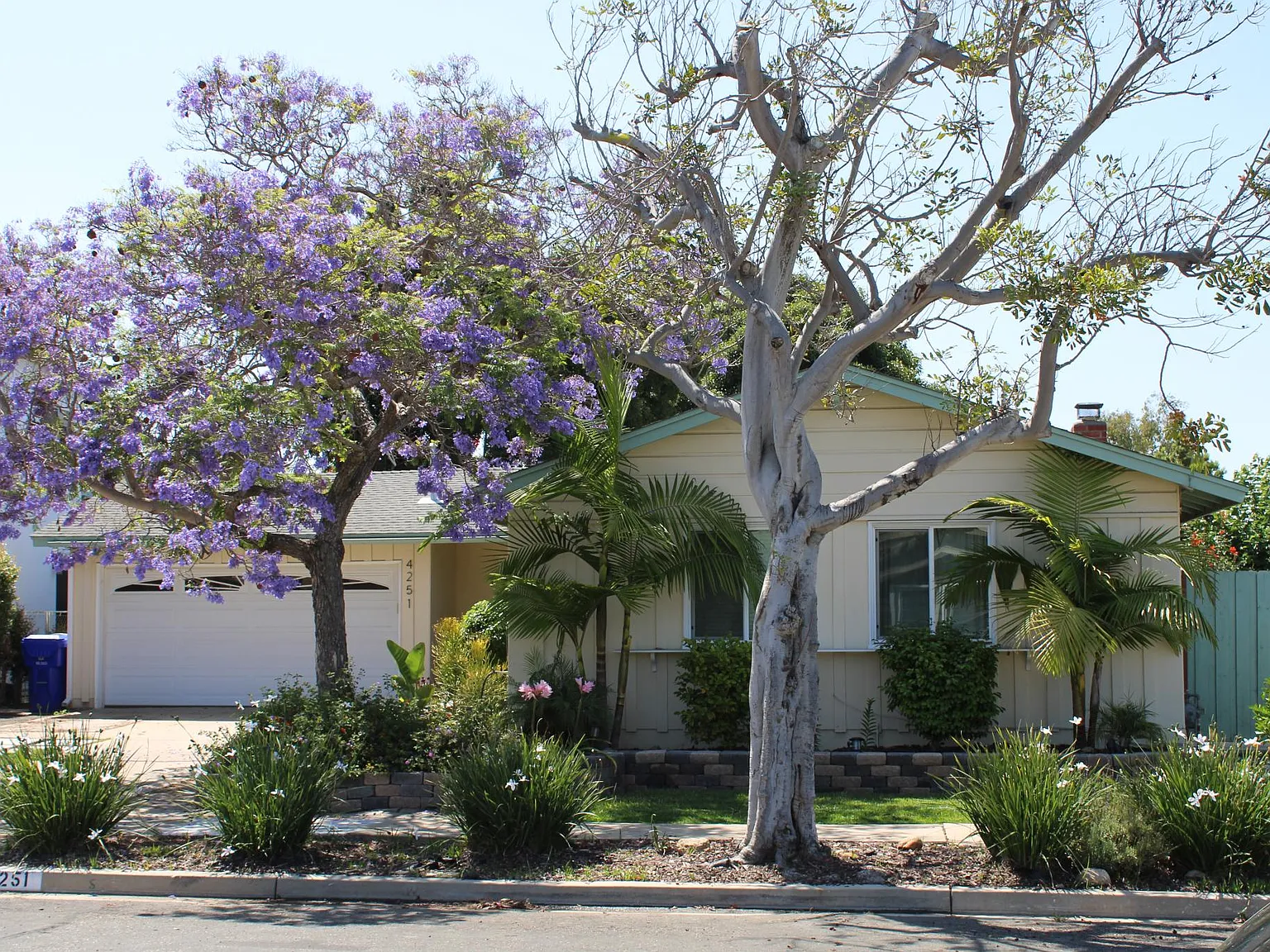 3 bed, 1109 sqft, $4,800 — Photo 2