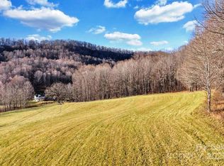 Tbd Old Buffalo Trl, Boone, NC 28607