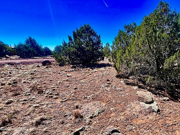 3rd image of County Road 8307 Lot 100