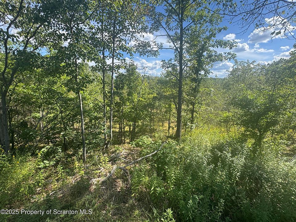 2nd image of Mount Cobb Rd
