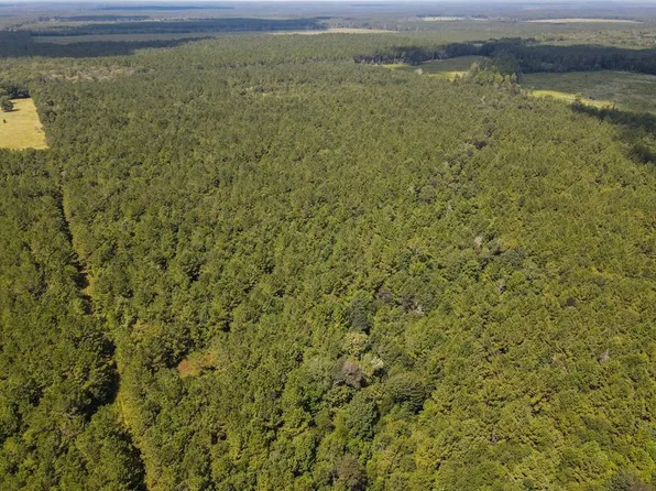 Sengo Rd, Thicket, TX 77374