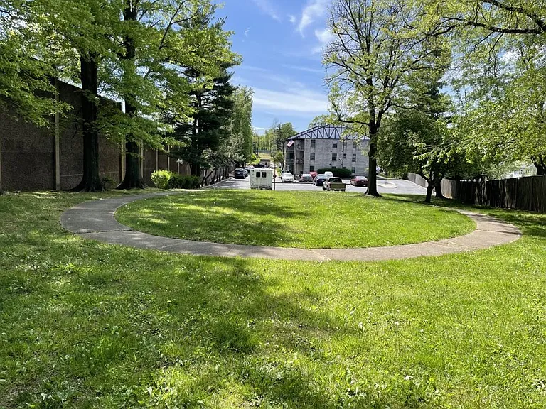 Park/dog walk area