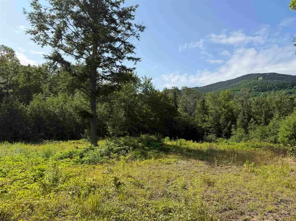 1559 Pinkham Road Lots # 3 & 4, Burke, VT 05832