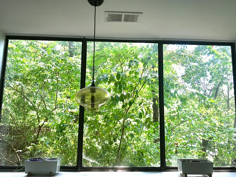 View of woods outside window