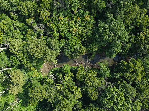 Dji Fly 20260717 095832 0003 1784301029775 Photo