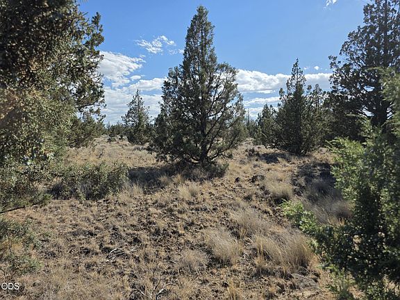 5th image of SE Cayuse Rd