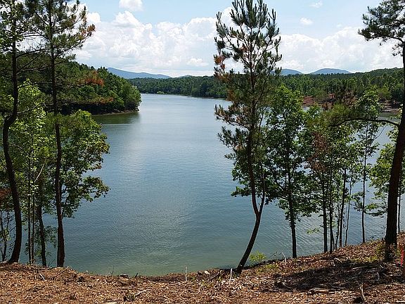 View of Lake from the Lots