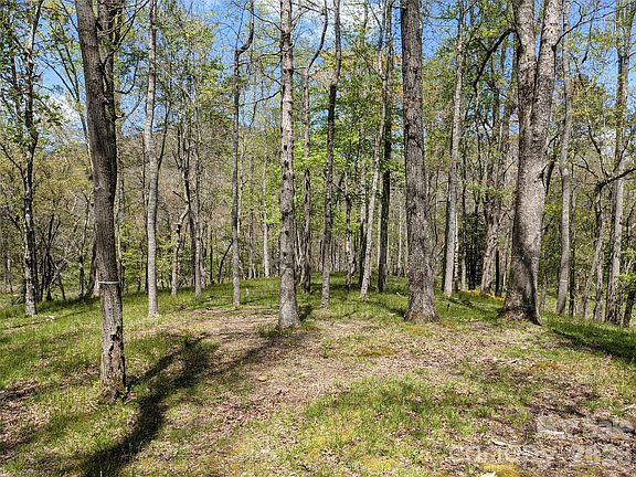 5th image of 27 Woodtrail Way