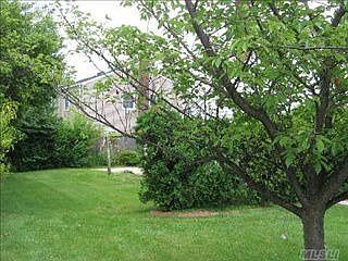 1st image of 181 Linden St
