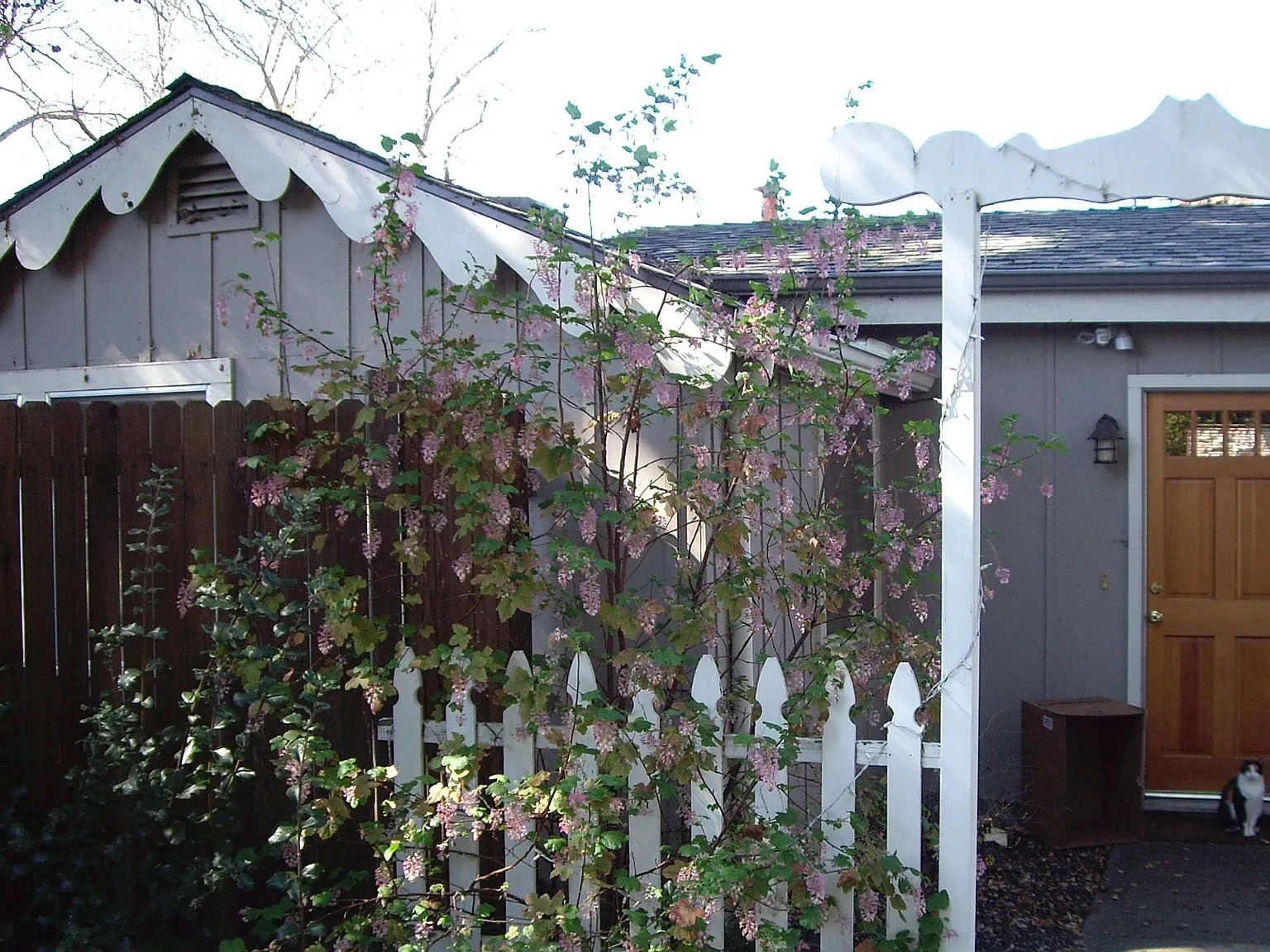 1 bed, 686 sqft, $2,850 — Photo 2