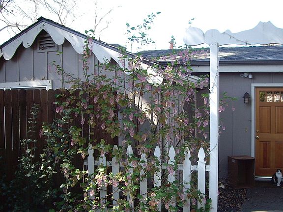 2nd image of 162 Josephine St