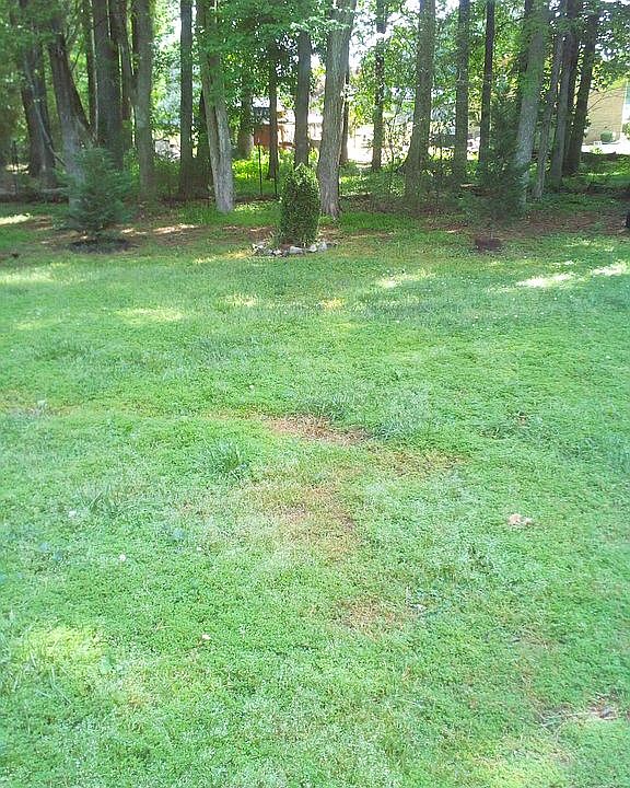 2nd image of 203 Hillbrook Blvd