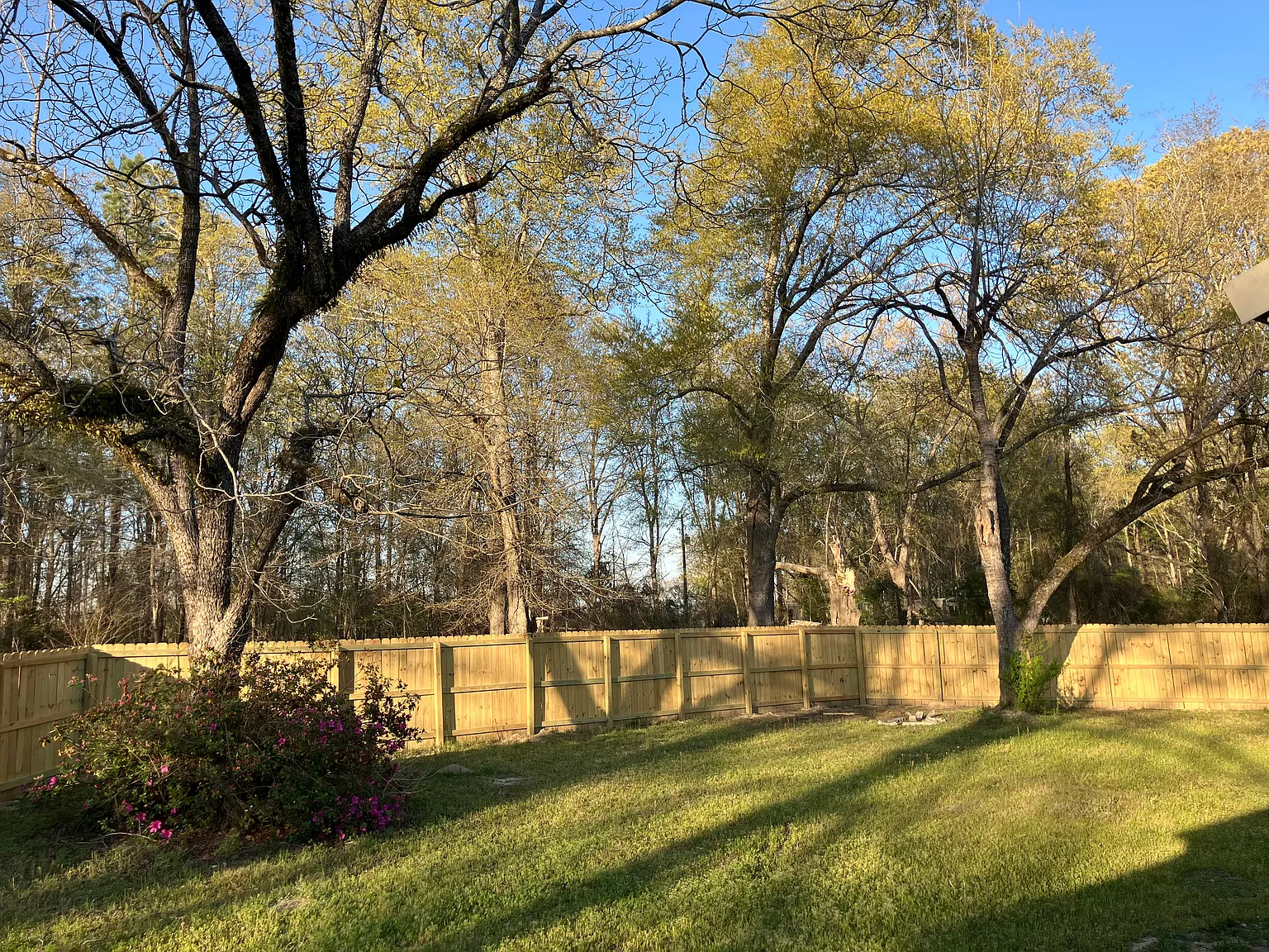 3 bed, 912 sqft, $1,050 — Photo 3
