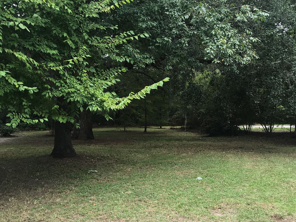 Beautiful grand oaks on lot.