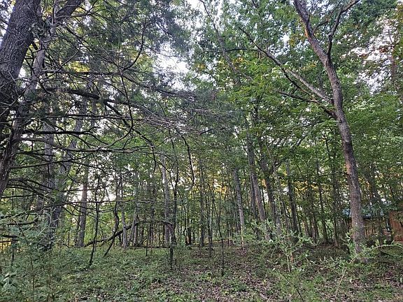 5th image of N6576 County Rd N