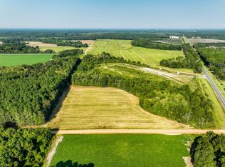 65/ACRE S Lewis Rd, Samson, AL 36477