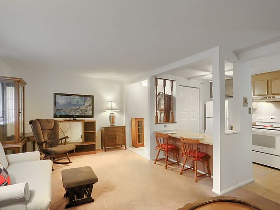 Living room and kitchen
