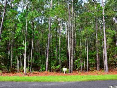 Lot 93 Vanderbilt Blvd., Pawleys Island, SC, 29585