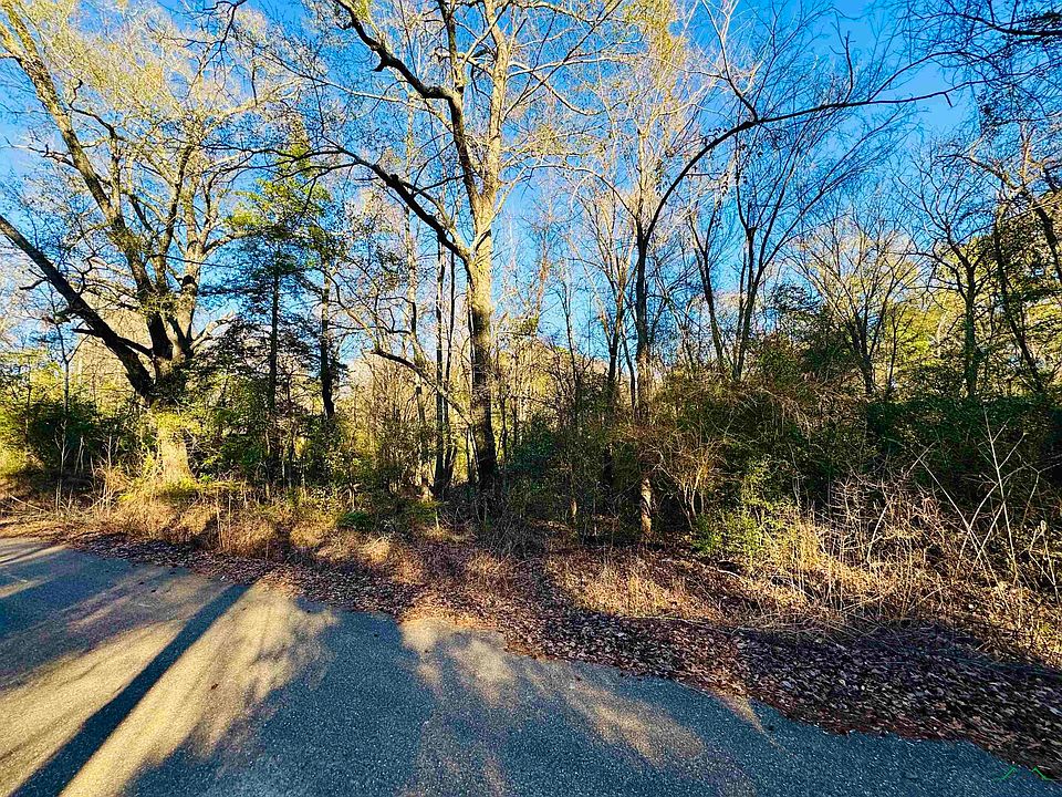 2nd image of Dancinger Rd