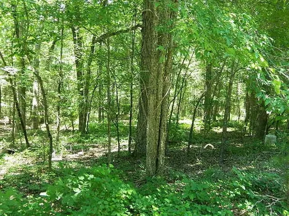 185 Screech Owl Lot A1, Moncure, NC 27559