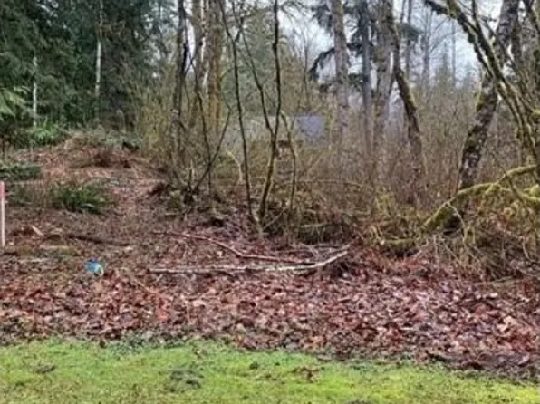 16007 Shuksan Rim Drive, Deming, WA 98244